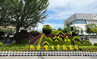 五色草立體花壇